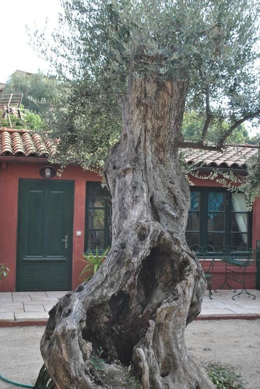 Sous L'Olivier Bed & Breakfast Menton Exterior photo